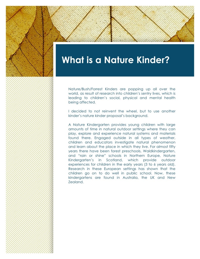 Nature Kinder proposal-page3